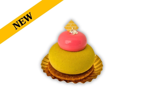 Pistacia